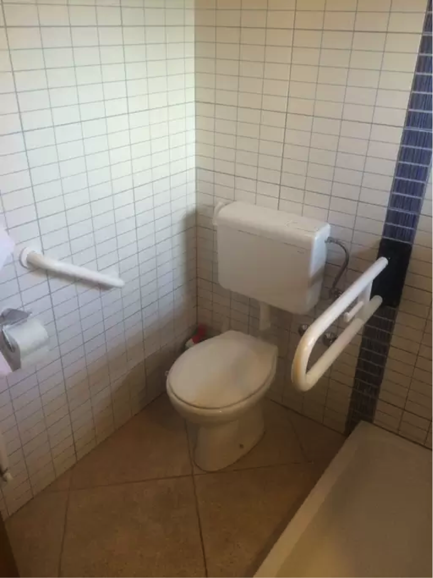 Bach access toilet